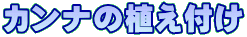 �J���i�̐A���t��