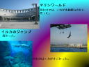 8 �y�[�W