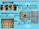 11 �y�[�W