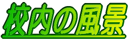 �Z���̕��i 