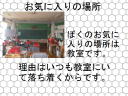 17 �y�[�W