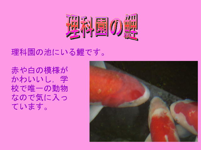 9�y�[�W