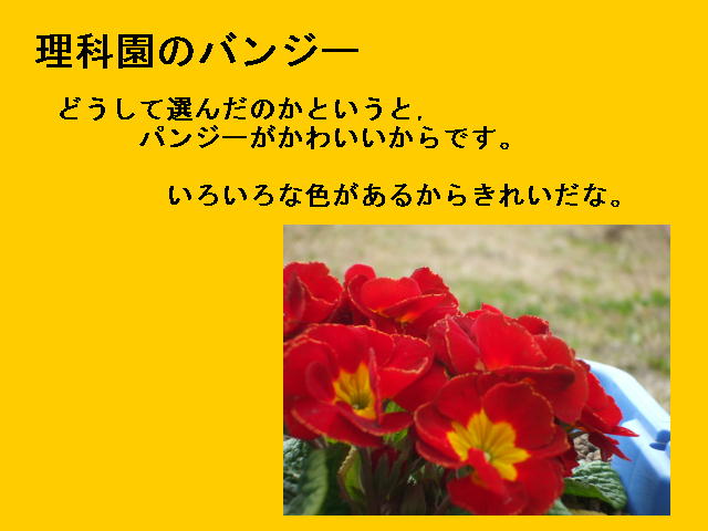 10�y�[�W