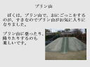 4 �y�[�W