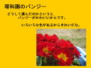 10 �y�[�W